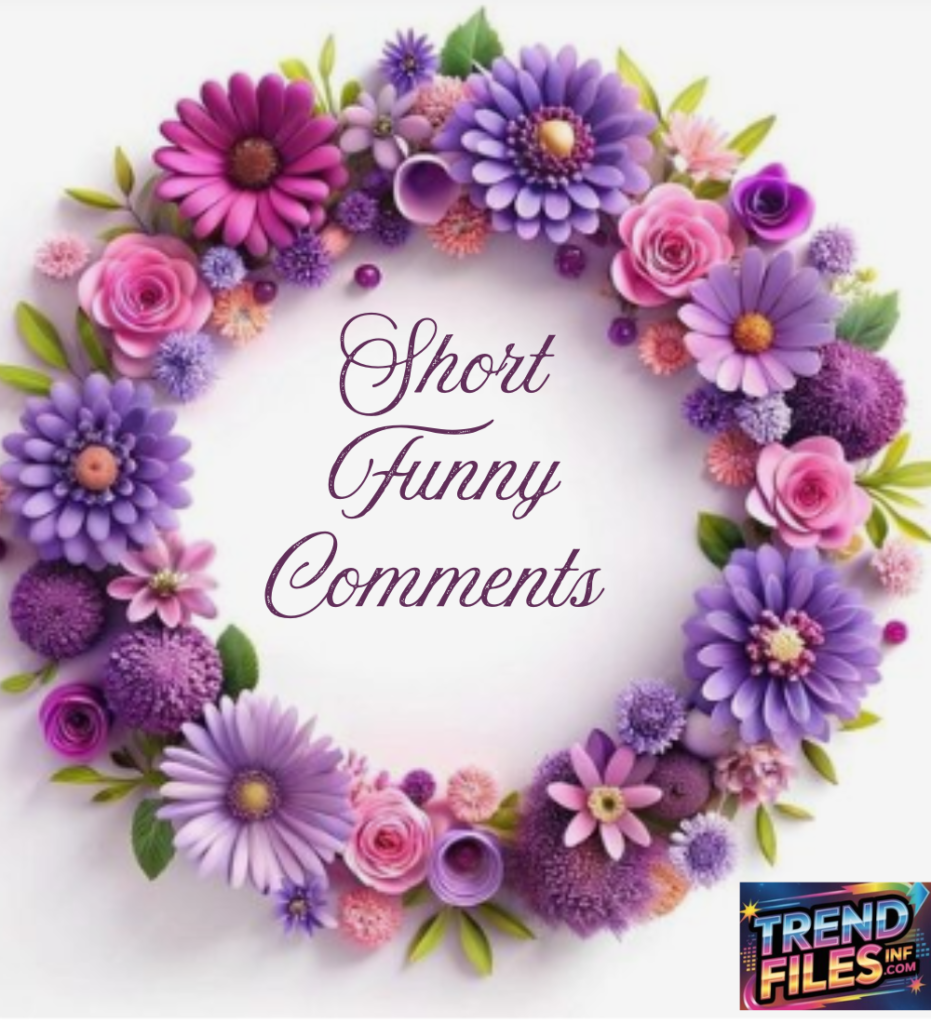 Short Funny Comments 