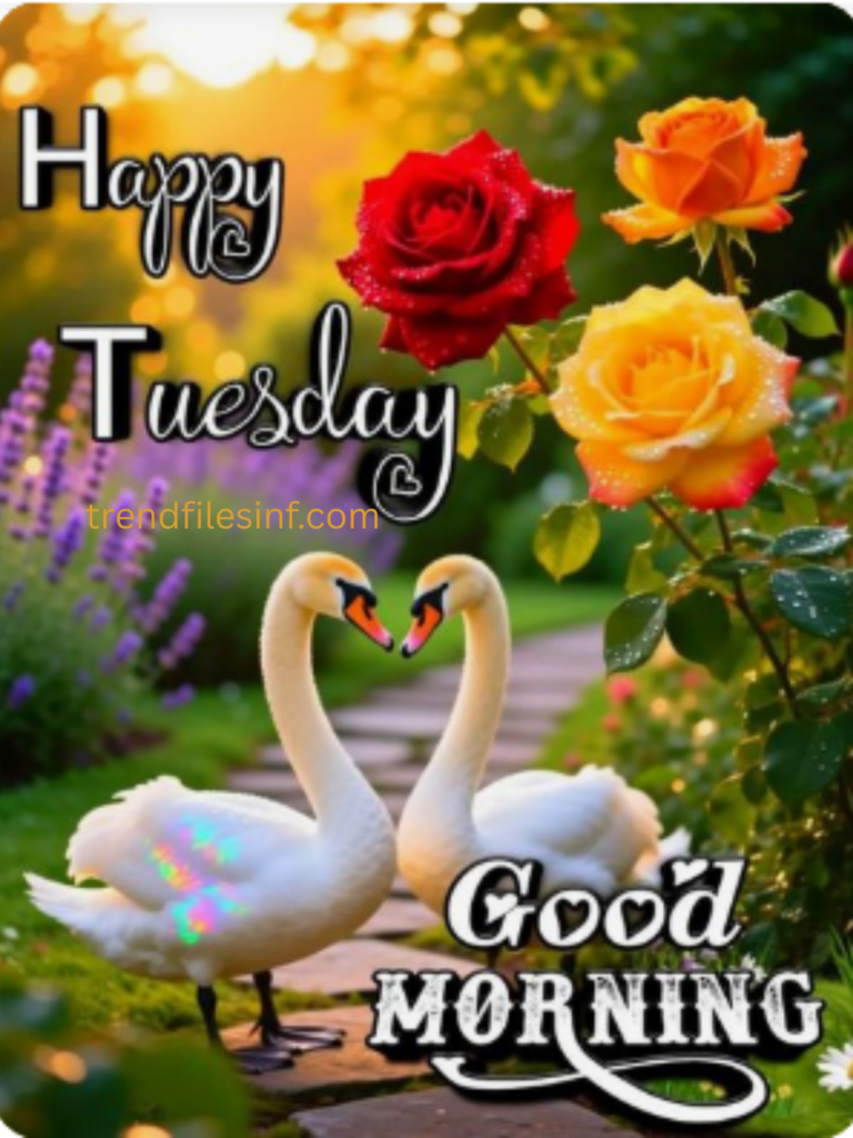 Tuesday Blessings GIF