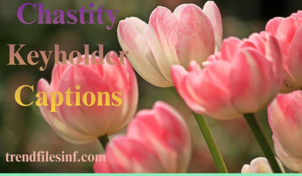 Chastity Keyholder Captions