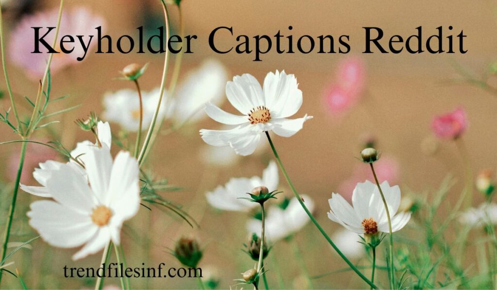 Keyholder Captions Reddit
