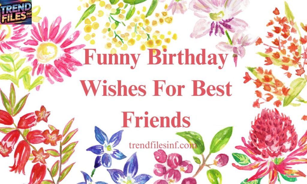 Funny Birthday Wishes 