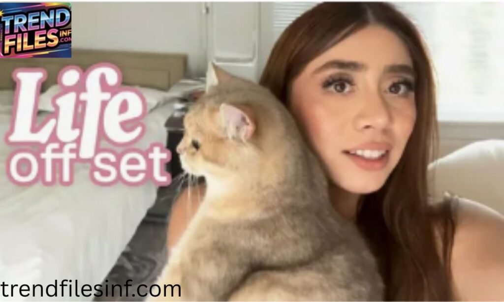 Assets and Lifestyle (2026)