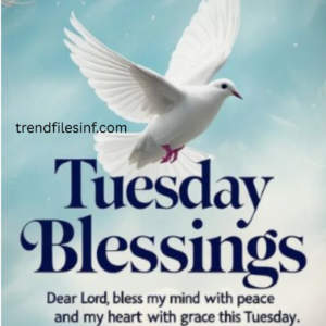 250+ Tuesday Blessings