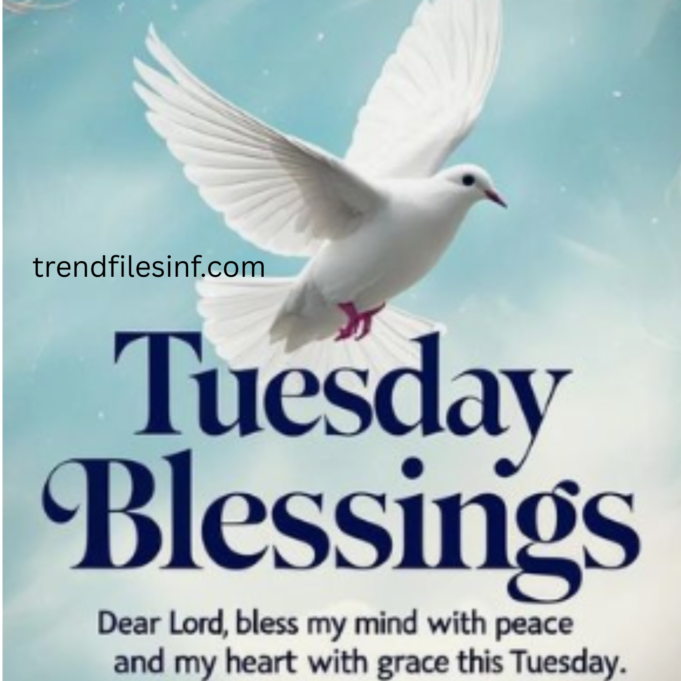 250+ Tuesday Blessings